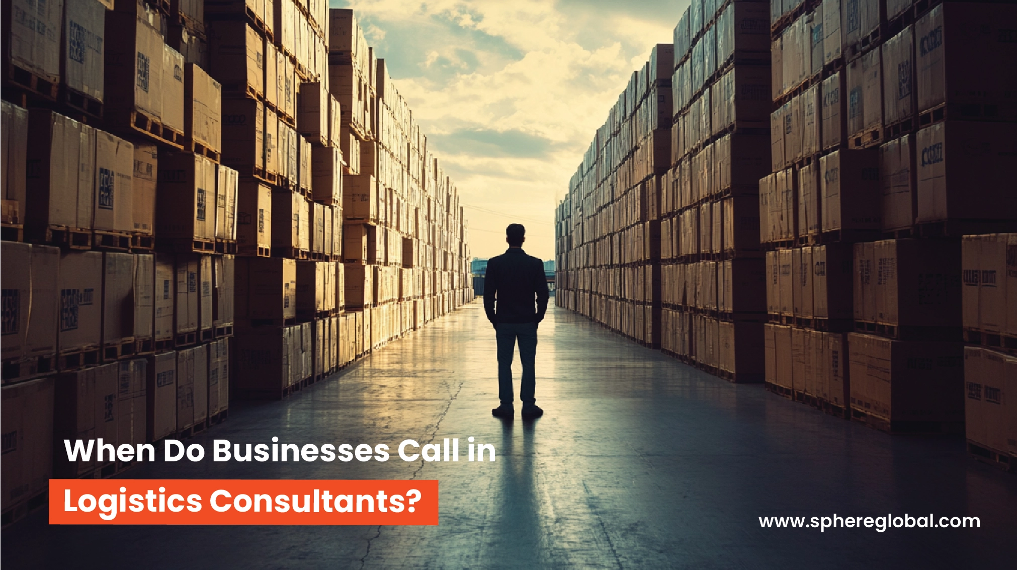 logistics consulting company